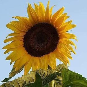 Meet your Posher, Tami